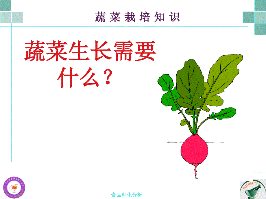 05绿农--蔬菜栽培知识_第3页