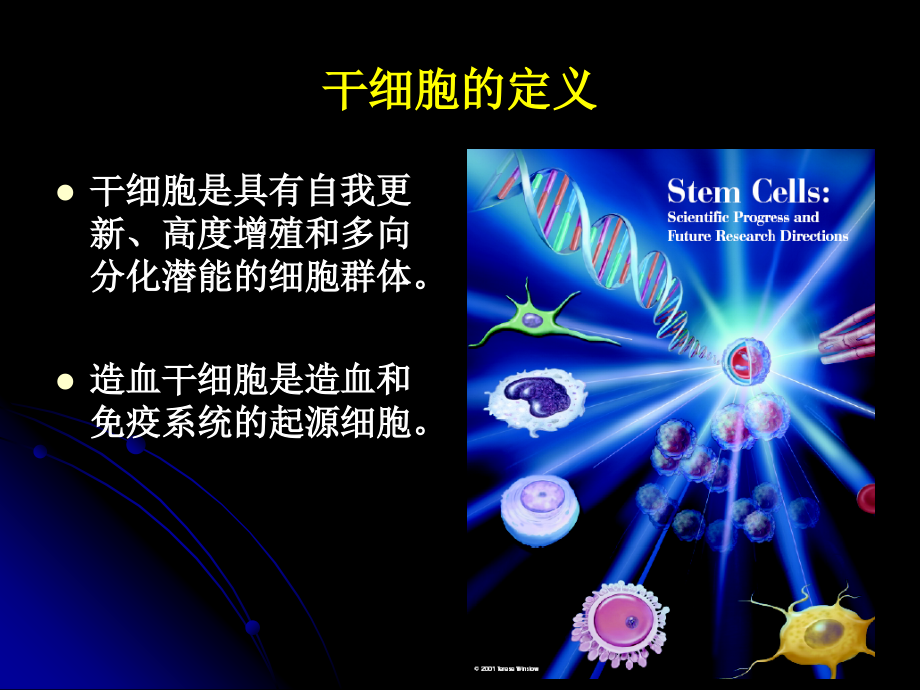 造血干细胞移植新进展(内科继教班)_第2页