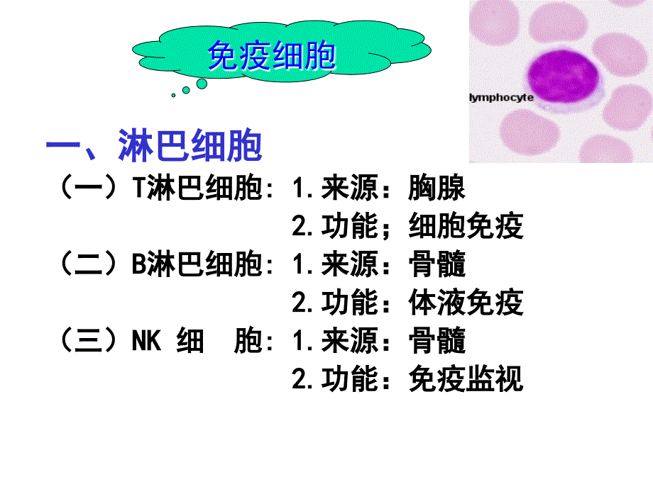 免疫系统医学讲座_第4页