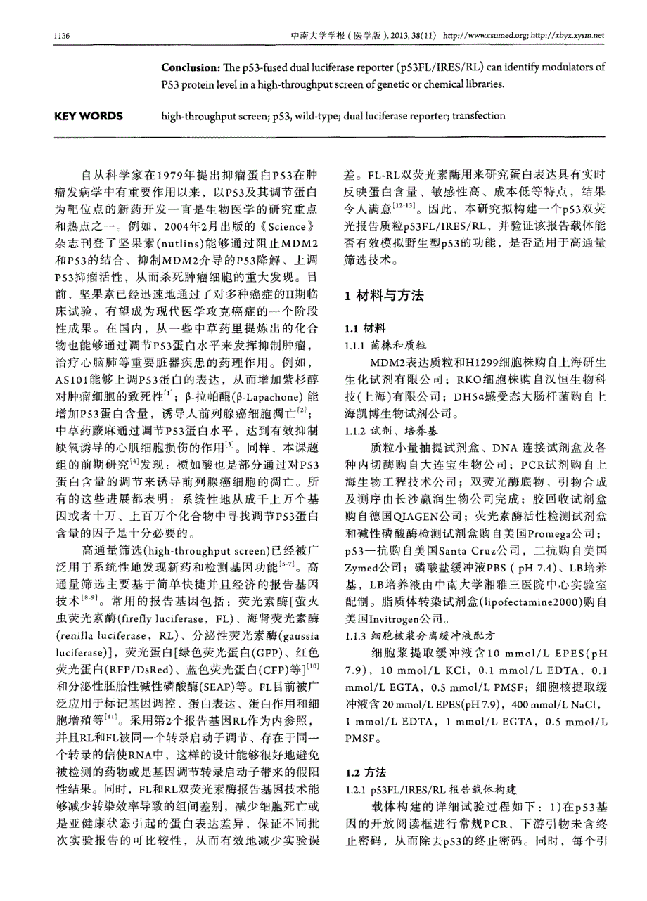 构建p53双荧光报告载体及其功能验证_第2页