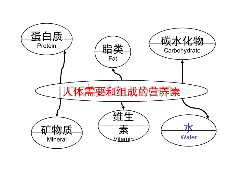 健康、营养与疾病_第3页