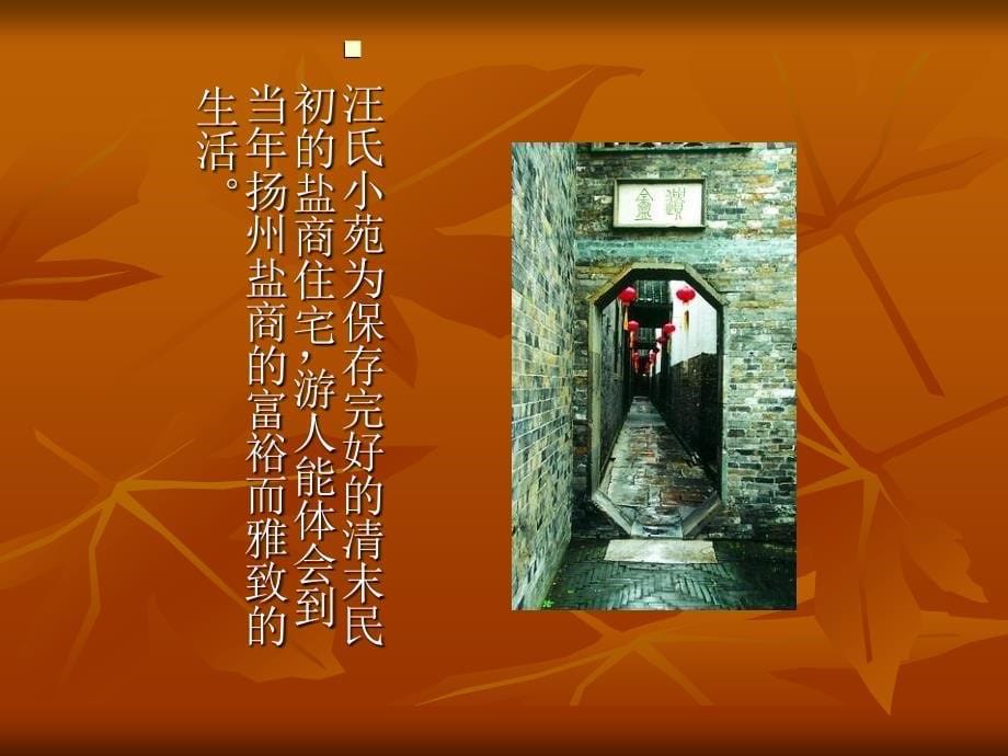 扬州市老城区文化遗产的访查_第5页