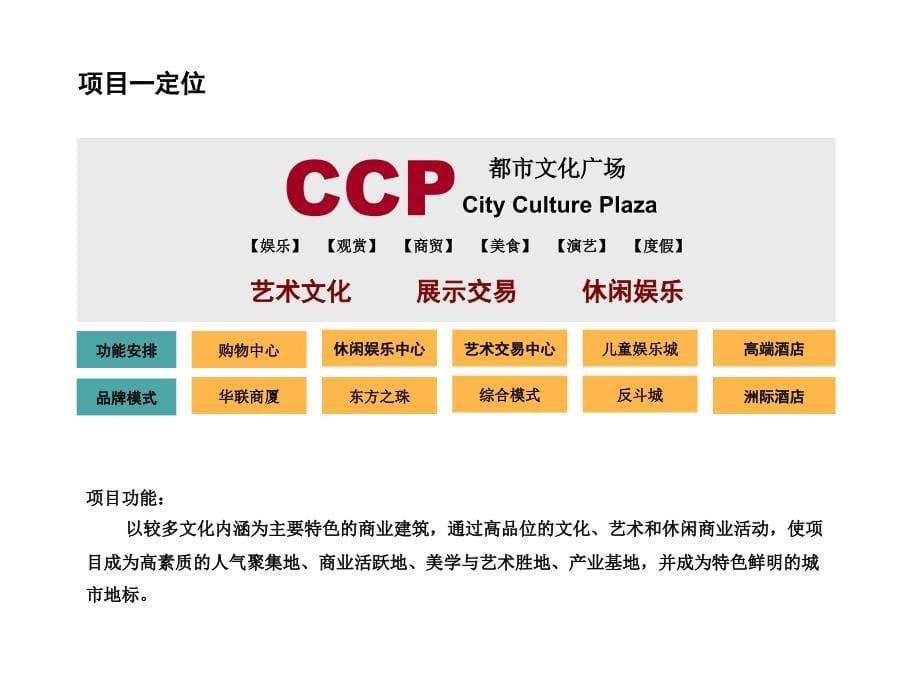 天津--空港经济区项目商业定位报告(终)20100906_第5页