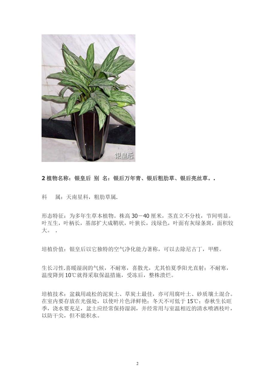 50种常见室内盆栽绿化植物简介_第2页