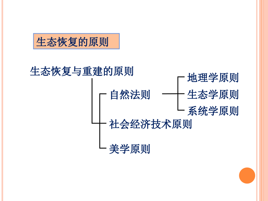 生态恢复工程教学课件PPT_第4页