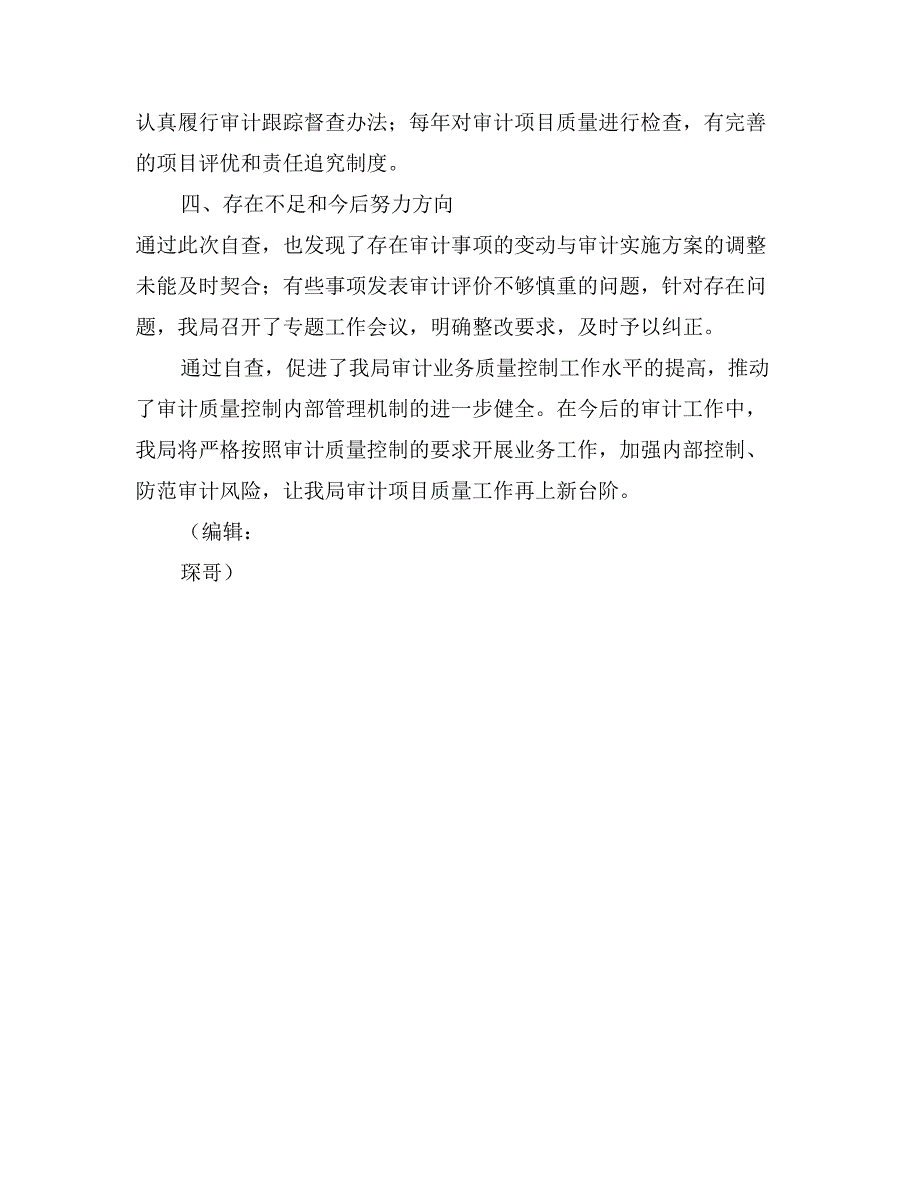 审计局年度审计项目质量自查情况报告_第3页