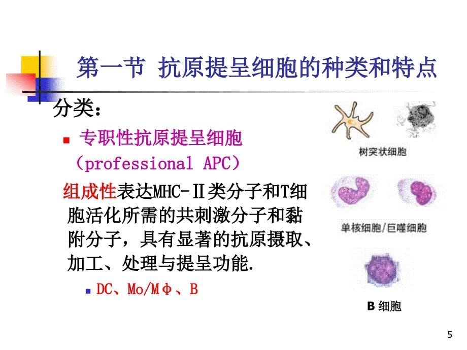 医学免疫学课件-抗原提呈细胞与抗原的处理及提呈_第5页