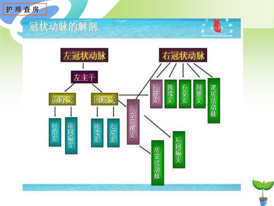 冠状动脉搭桥术课件_第4页