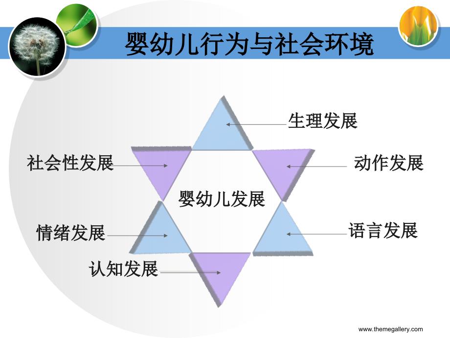 第四章 婴幼儿期行为与社会环境_第3页