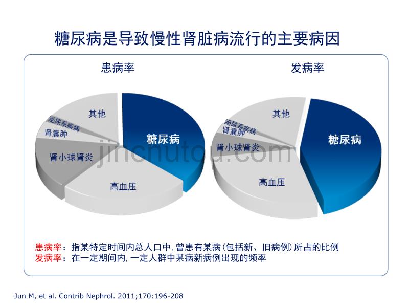 糖尿病合并CKD专家共识介绍_第5页