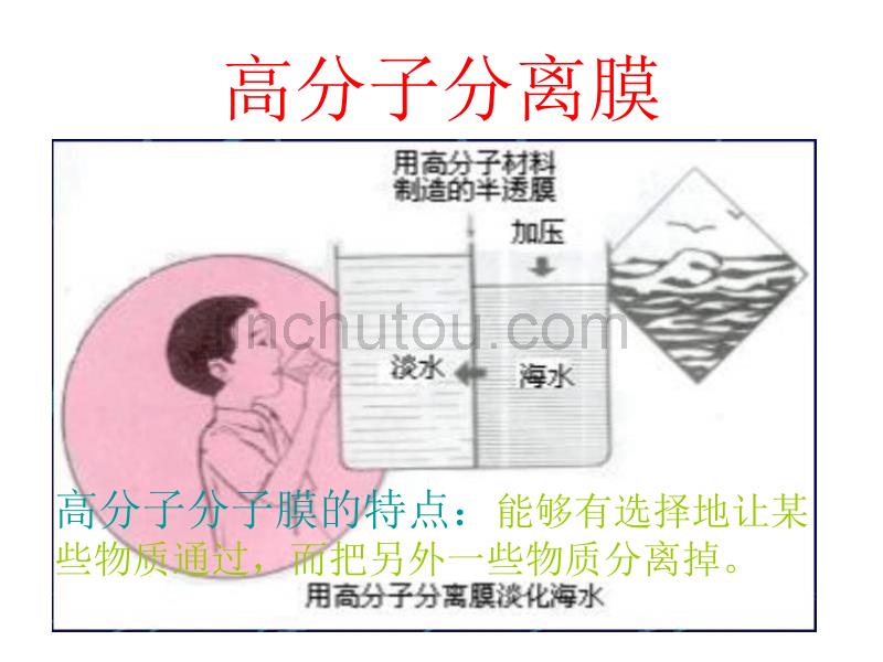 高二化学功能高分子材料2_图文_第4页