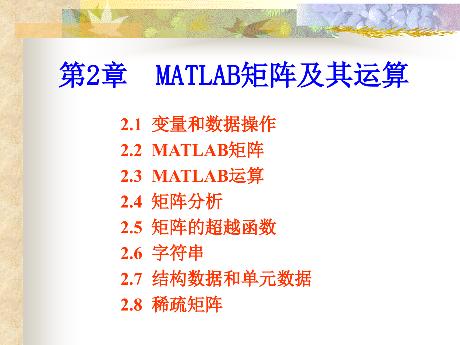 MATLAB 矩阵及其运算_第1页