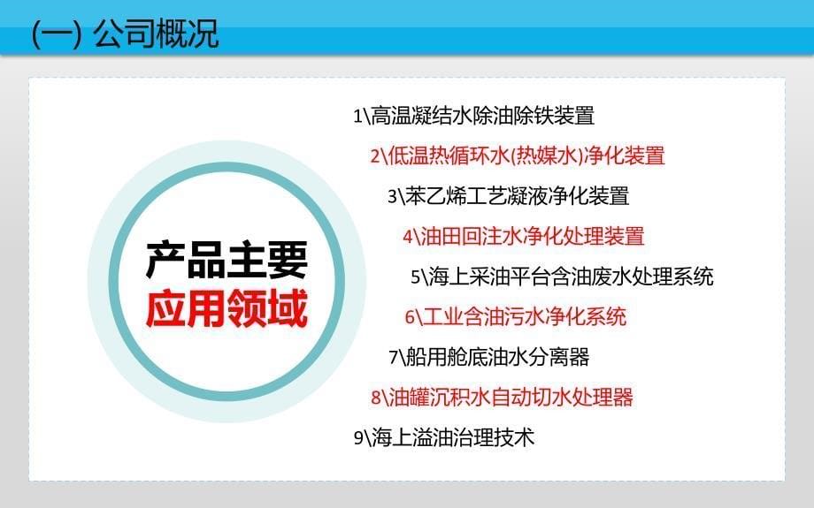 环保公司高温凝结水除油除铁方案宣讲_第5页