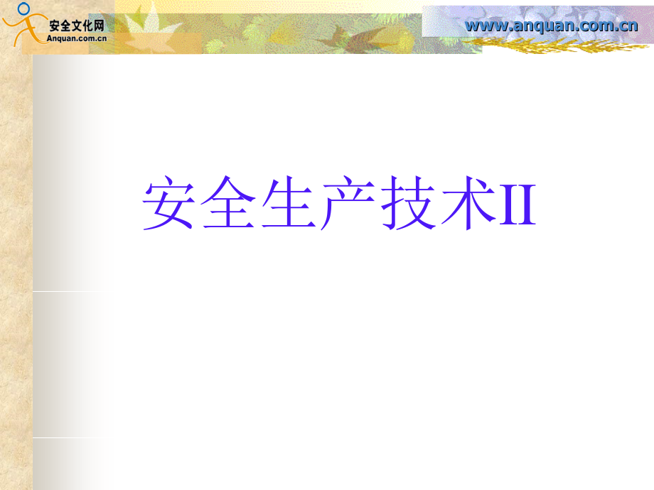 [2017年整理]安全生产技术2_第1页