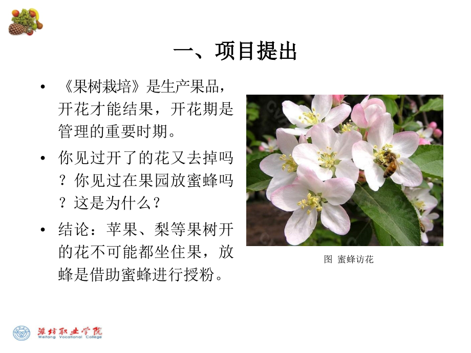 5.果树授粉及疏花_第3页