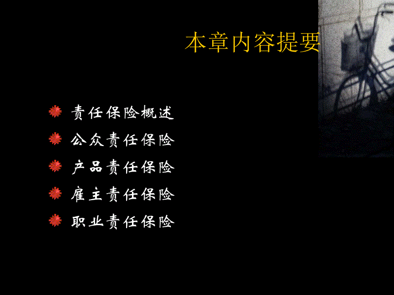 何斌锋  责任保险.ppt1 (2)_第2页