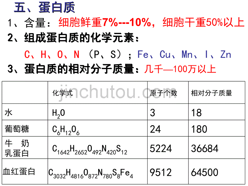 高二生物核酸_图文_第5页