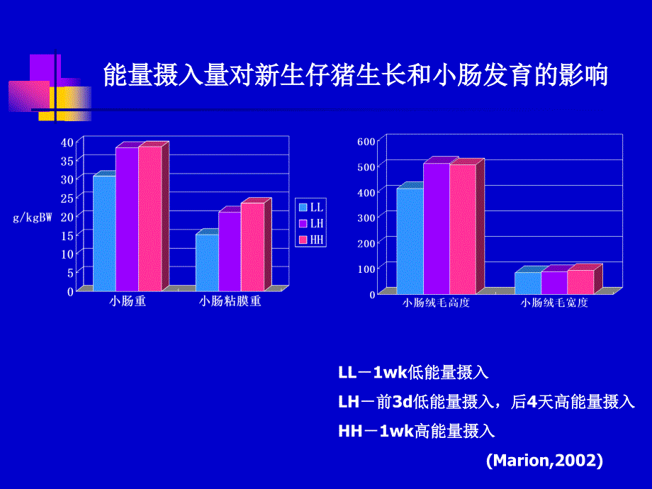 仔猪营养研究进展_第4页