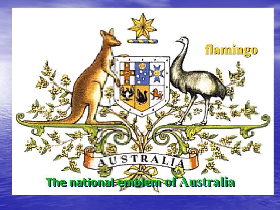[2017年整理]澳大利亚联邦的国旗_第5页