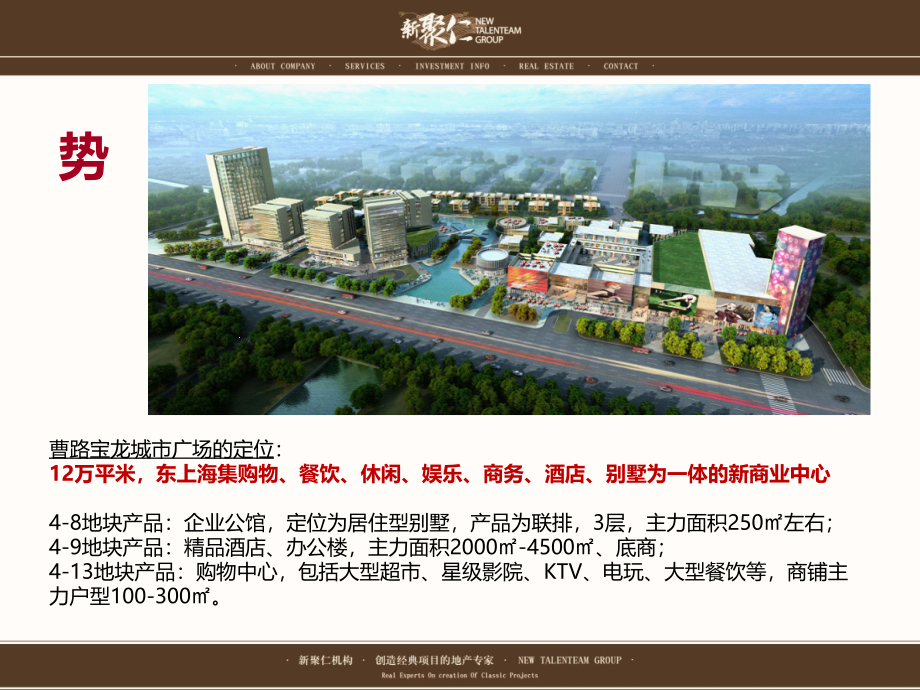 新聚仁上海宝龙城市广场推广执行提案_第3页