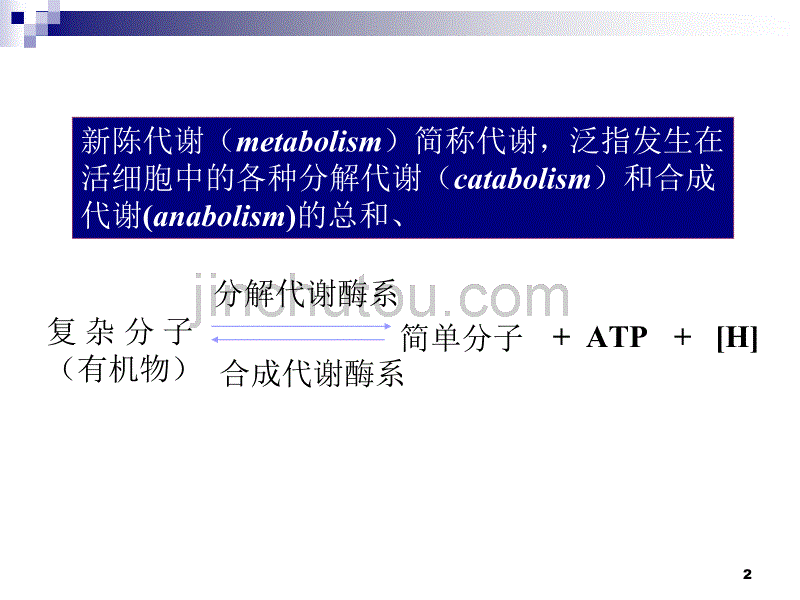 第四章 微生物的代谢3_第2页