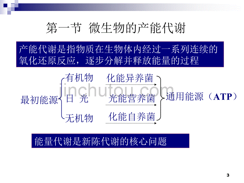 第四章 微生物的代谢3_第3页