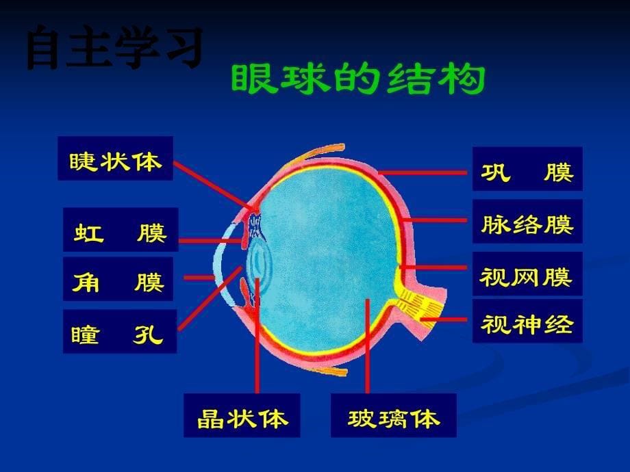 LF视觉障碍老人的护理_第5页