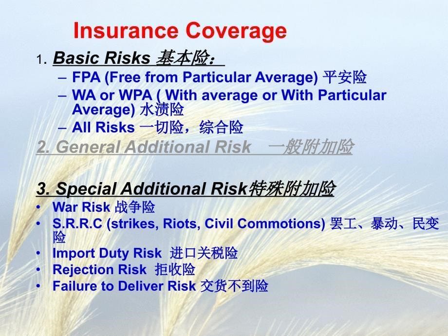 unit13 Insurance_第5页