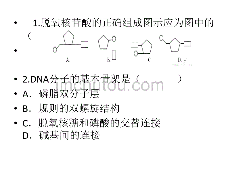 DNA分子的结构 练习题_图文_第2页