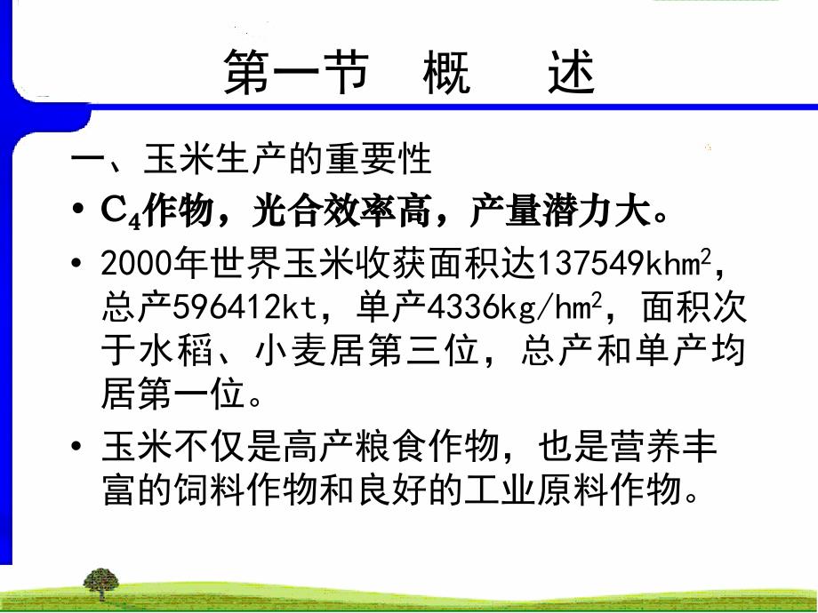 [作物栽培学课件7玉米_第2页