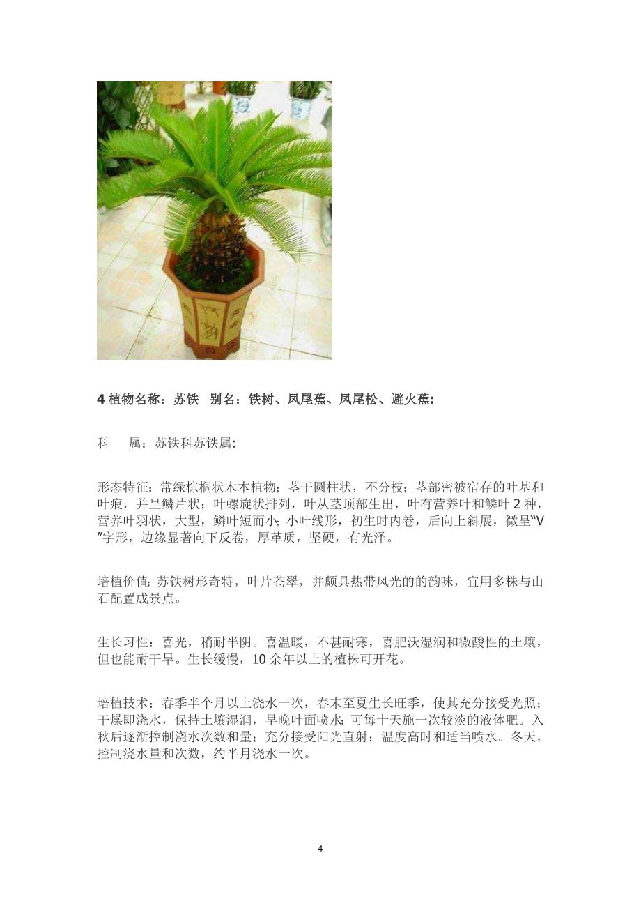 50种常见室内盆栽绿化植物简介_第4页