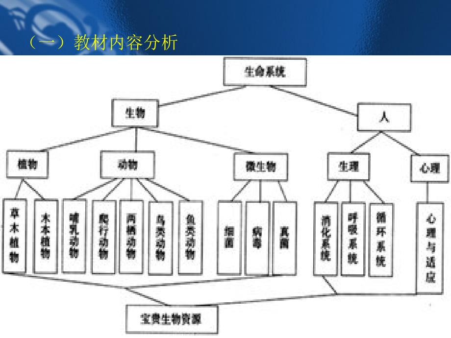 六年级科学教材内容分析_第4页