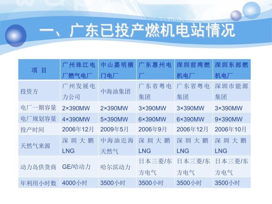 燃气电站项目前期工作培训_第5页