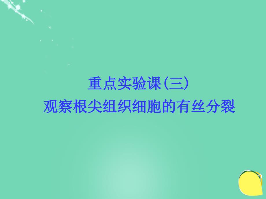 导学教程2017高考生物一轮复习 第4单元 细胞的生命历程（含减数分裂与受精作用）重点实验课（三）观察根尖组织细胞的有丝分裂课件_第1页