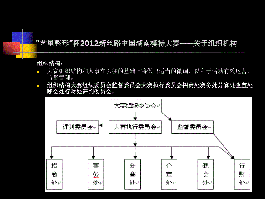 新丝路招商方案_第4页