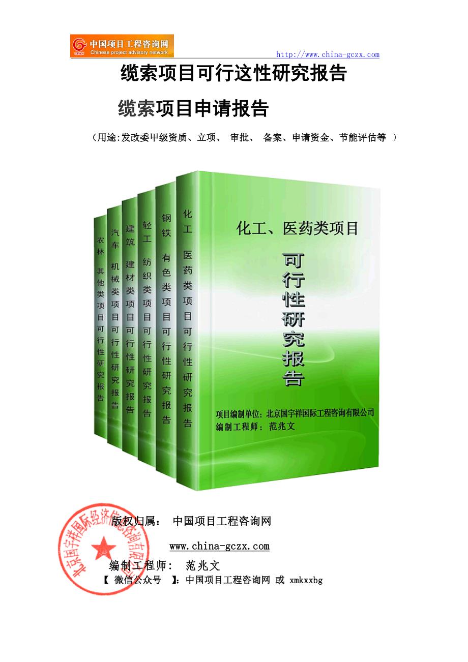 缆索项目可行性研究报告（-立项备案新版-）_第1页