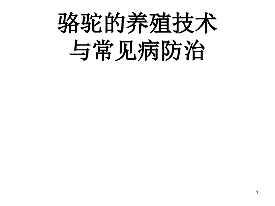 骆驼的养殖技术与常见病防治 ppt课件_第1页