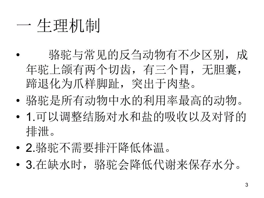 骆驼的养殖技术与常见病防治 ppt课件_第3页