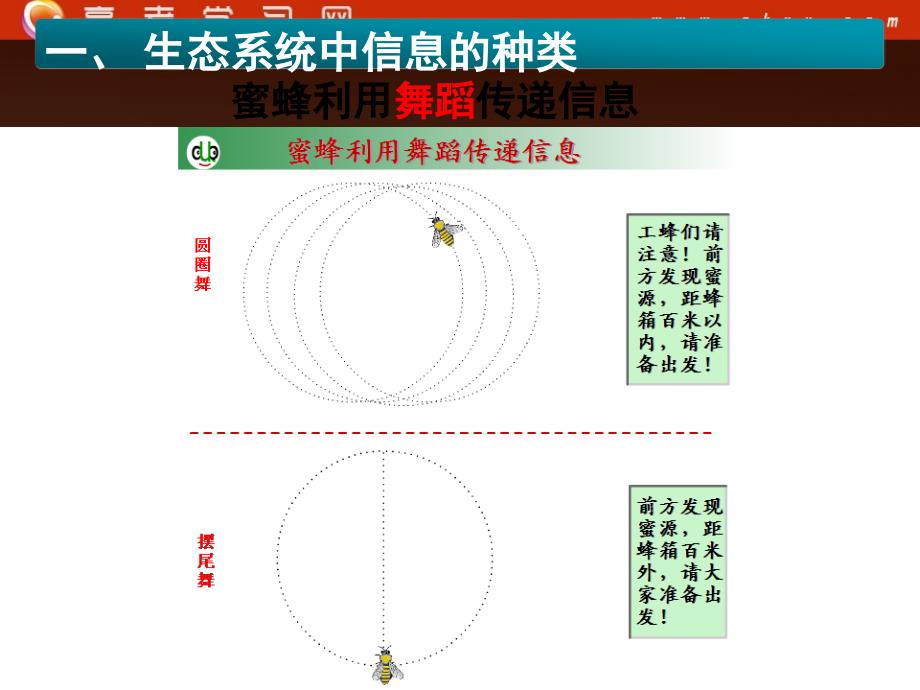 湖南省宁乡县实验中学生物必修三《生态系统的信息传递》课件_第4页