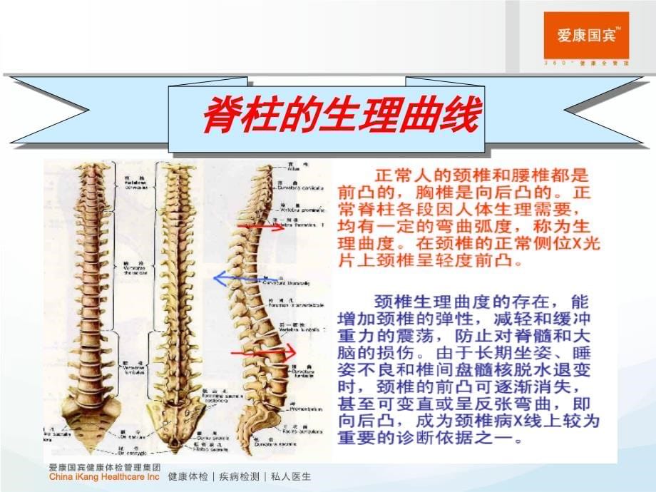 颈椎病秋季养生.9_第5页