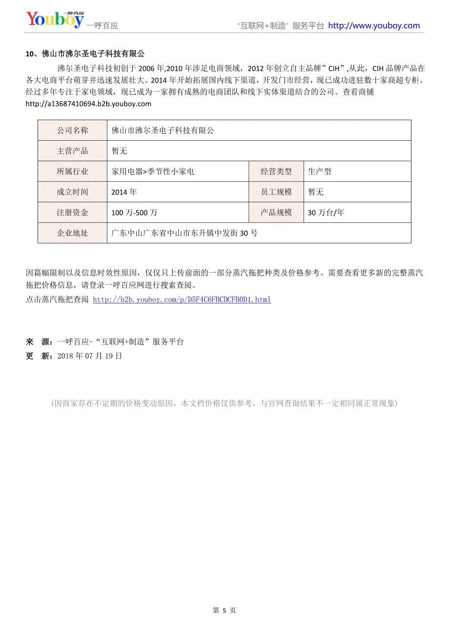 2018年国内蒸汽拖把产品商家_第5页