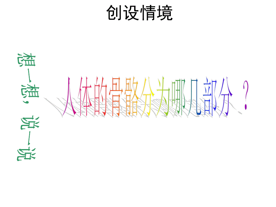 骨骼 课件（教科版科学四年级上册）_第2页