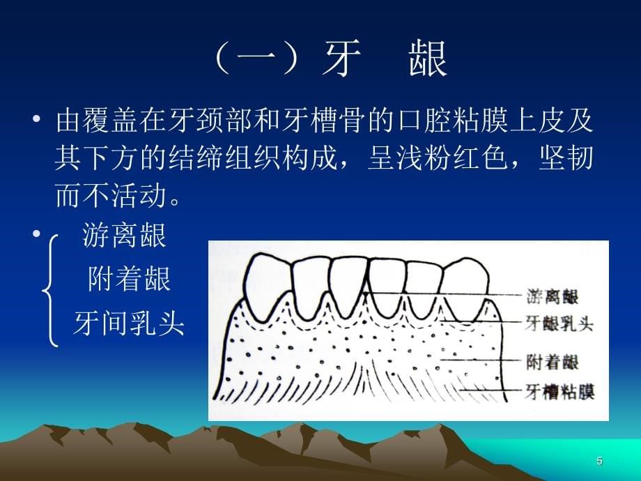 六牙周疾病 ppt课件_第5页