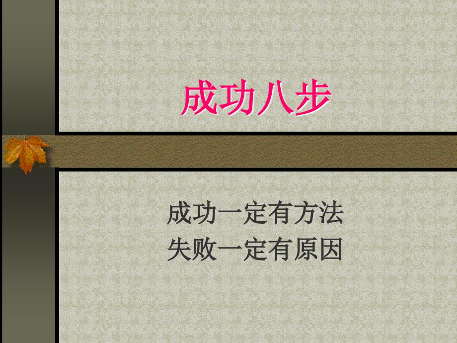 详细成功八步_第1页