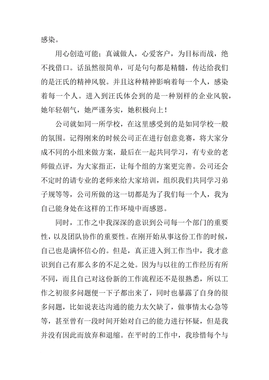 广告公司试用期工作总结1000字_第2页