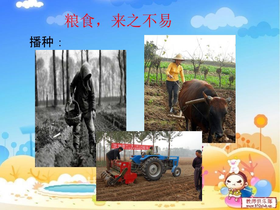 节约粮食.ppt_第3页