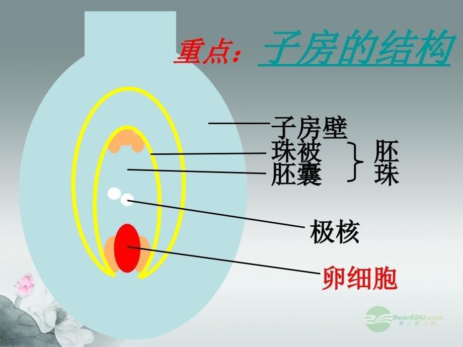 八年级生物下册《7.1.1-植物的生殖》课件-新人教版_第5页