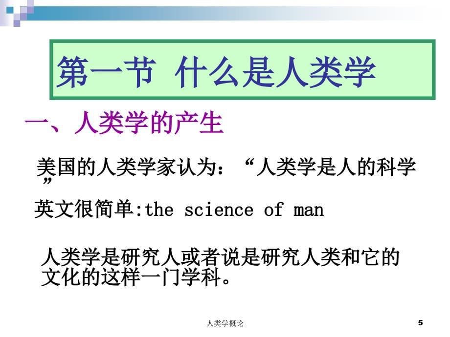 人类学ppt_第5页