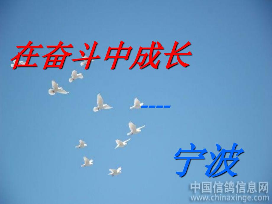 宁波近现代史_第1页