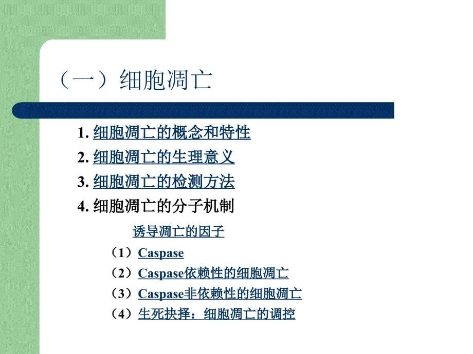 南开大学细胞生物学ppt_第5页